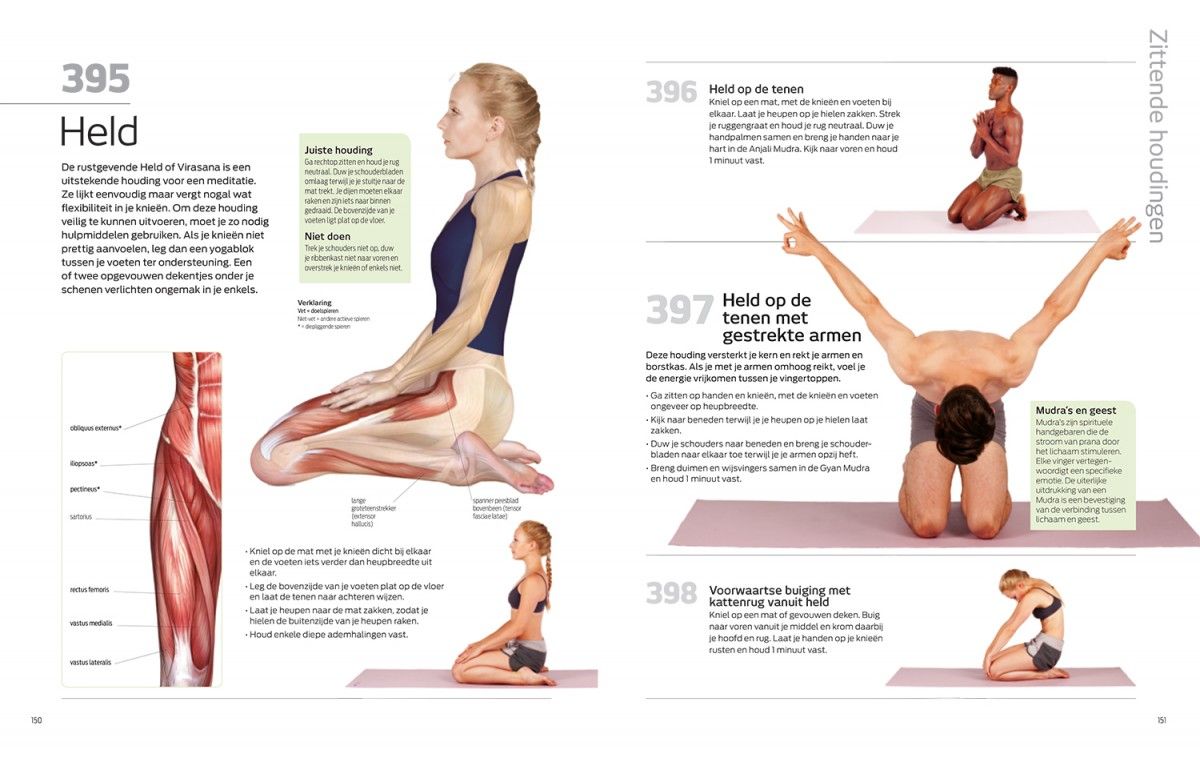 Betere 501 Yoga-oefeningen - Librero b.v. XV-76