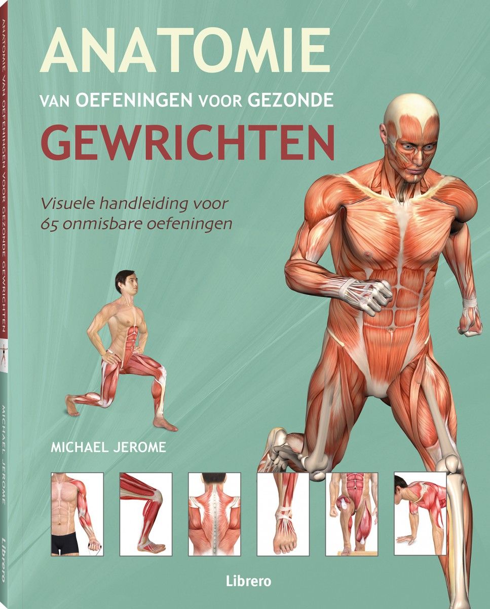 Ontwapening inleveren Inloggegevens Anatomie van fitness- en krachttraining - Librero b.v.