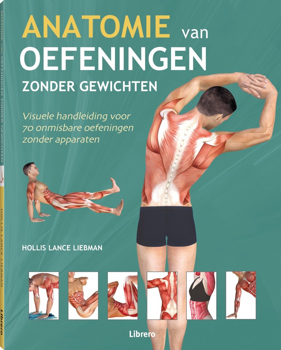 Civiel Jongleren Creatie Anatomie van oefeningen zonder gewichten - Librero b.v.