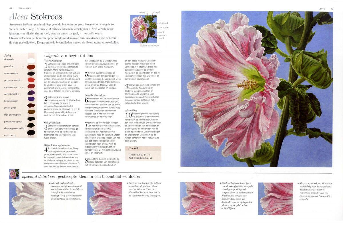 Snijbloemen Bloemen Namen Van A Tot Z - Bloemen