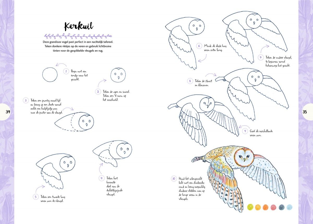 Verwonderend De natuur - Tekenen in 10 stappen - Librero b.v. AI-77