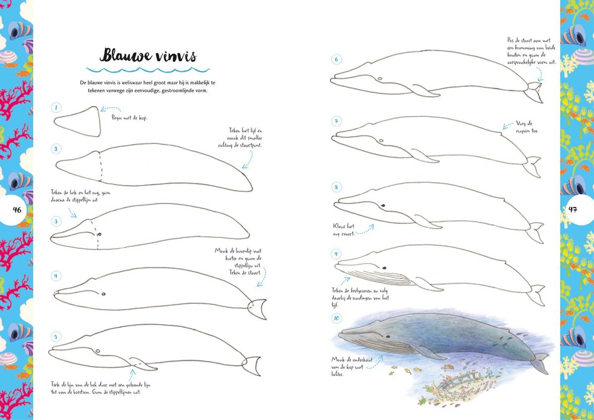 Wonderbaar Dieren tekenen in 10 stappen - Librero b.v. AS-54