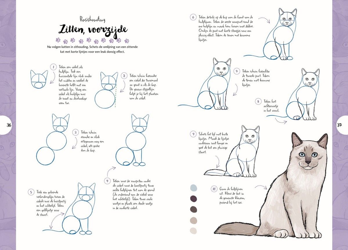 aanplakbiljet Effectief vereist Katten - Tekenen in 10 stappen - Librero b.v.