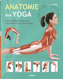 Anatomie van yoga