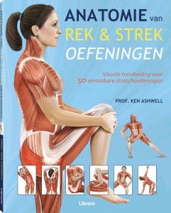 Anatomie van rek & strekoefeningen