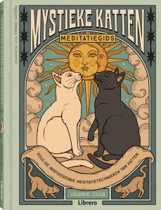 Mystieke katten meditatiegids