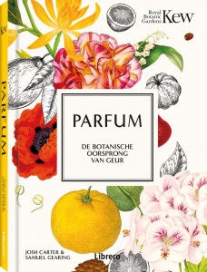 Parfum