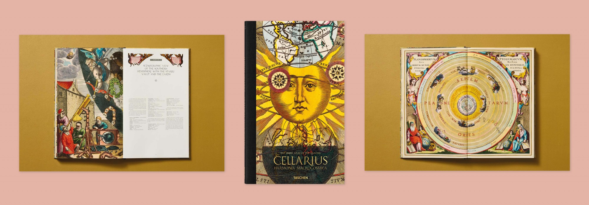 Cellarius