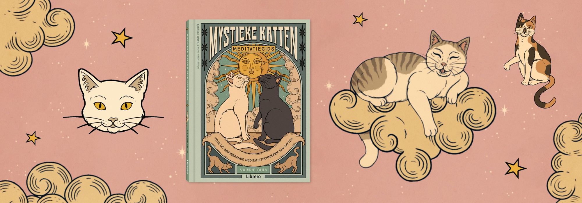 Mystieke katten meditatiegids